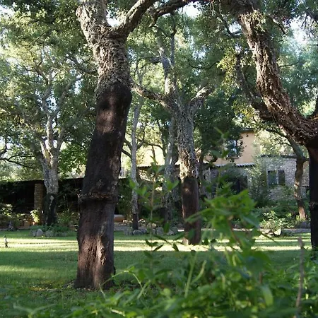 مزرعة للإقامة Le Sughere *