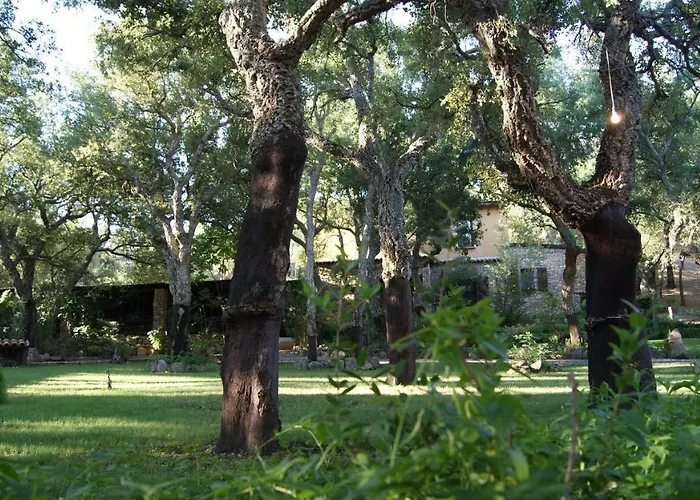 Vakantieboerderij Le Sughere *