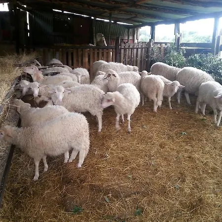 Le Sughere Gospodarstwo agroturystyczne *