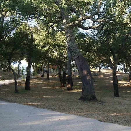 Le Sughere ファームステイ