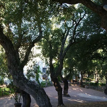 ファームステイ Le Sughere *