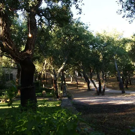 Feriegård Le Sughere Padru