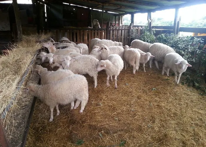 Le Sughere Gospodarstwo agroturystyczne *