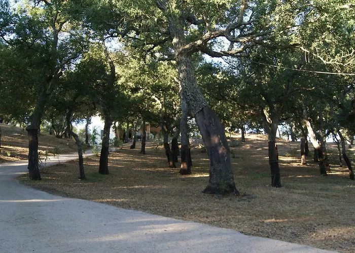 Le Sughere Gospodarstwo agroturystyczne