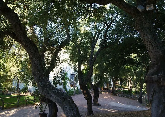 Alloggio per agriturismo Le Sughere *